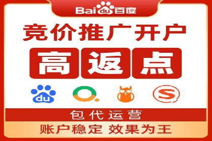 案例分析：SEM推广助力行业竞争突围